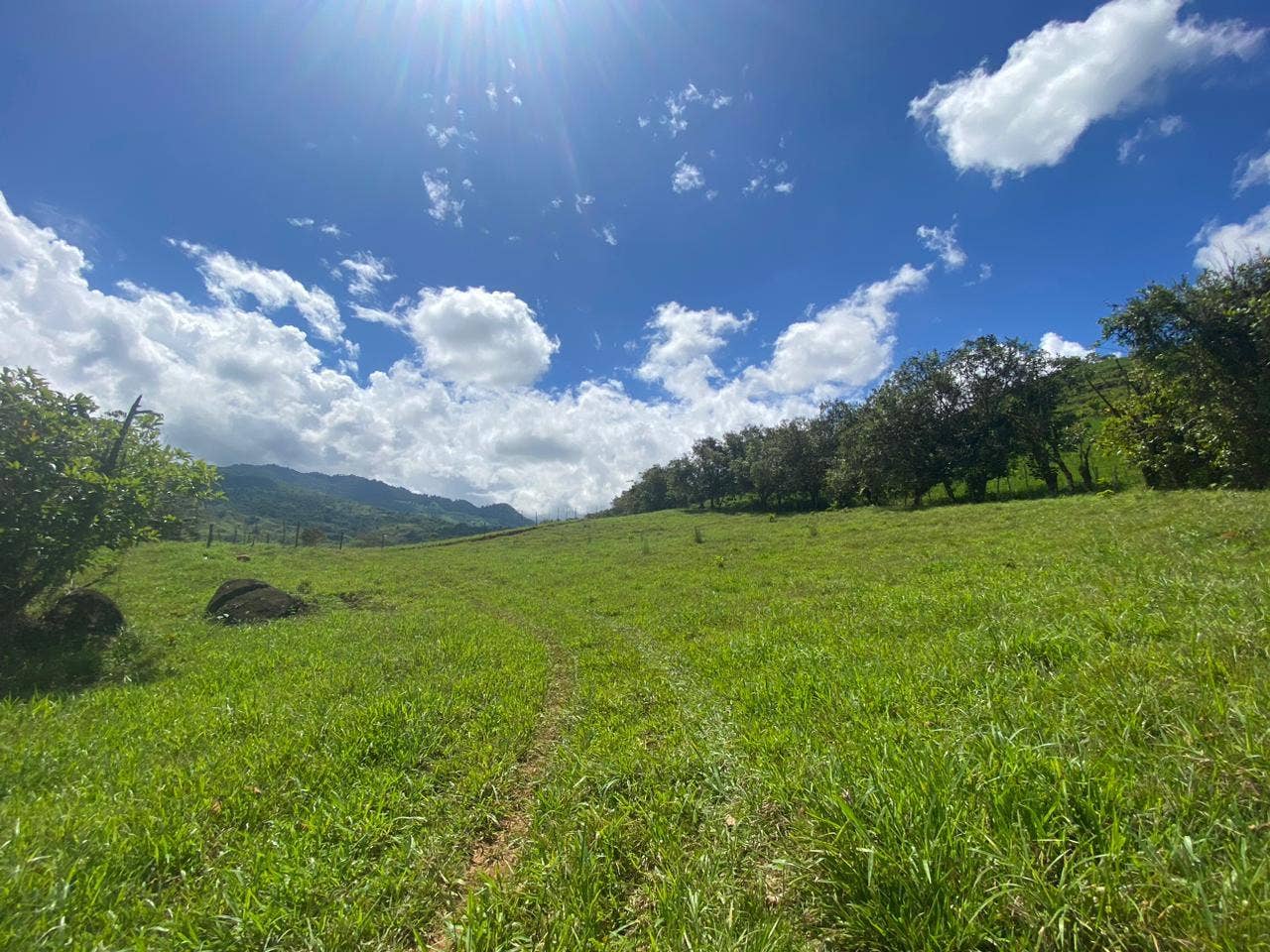32 Acre Mountain View Farm — photo 16 of 16