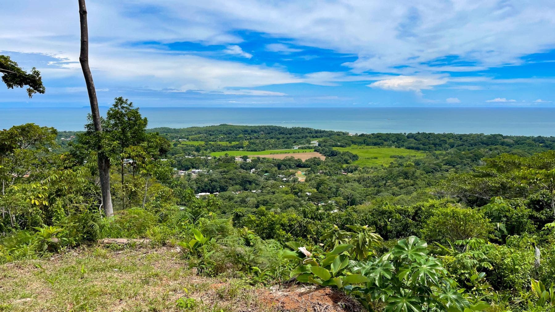 Prominent Ocean view Land in Uvita — photo 10 of 19
