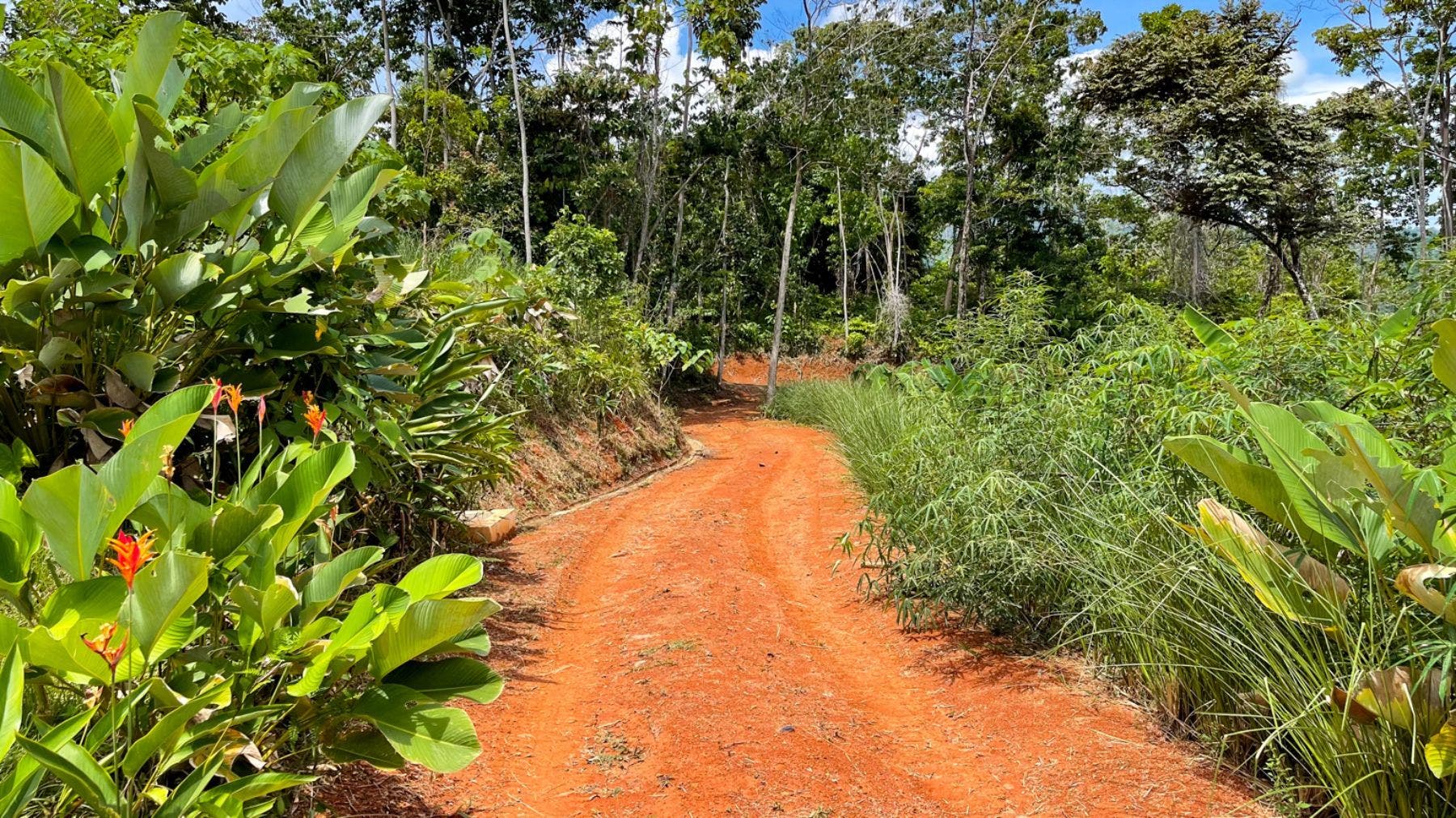 Prominent Ocean view Land in Uvita — photo 11 of 19