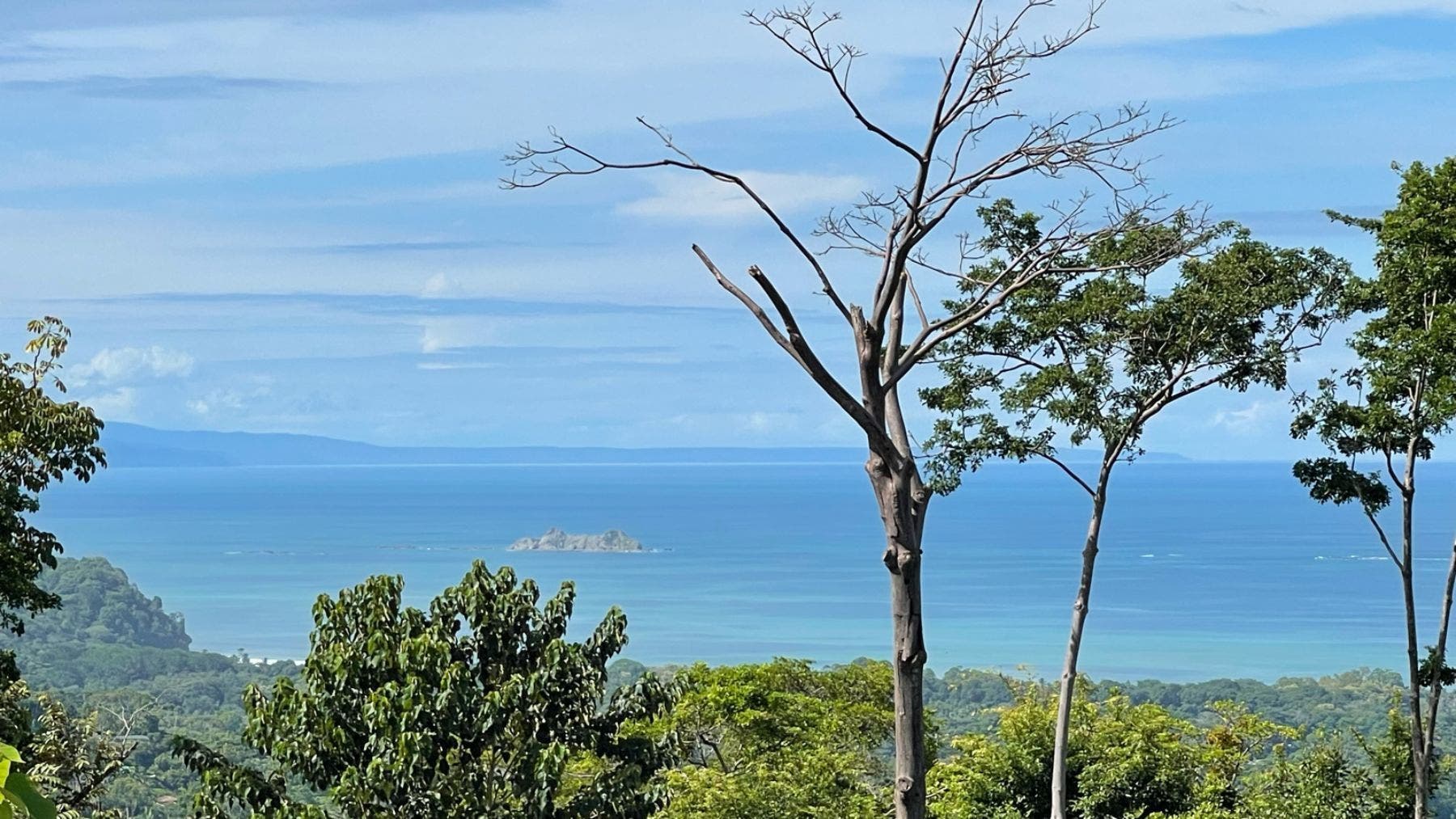 Prominent Ocean view Land in Uvita — photo 12 of 19