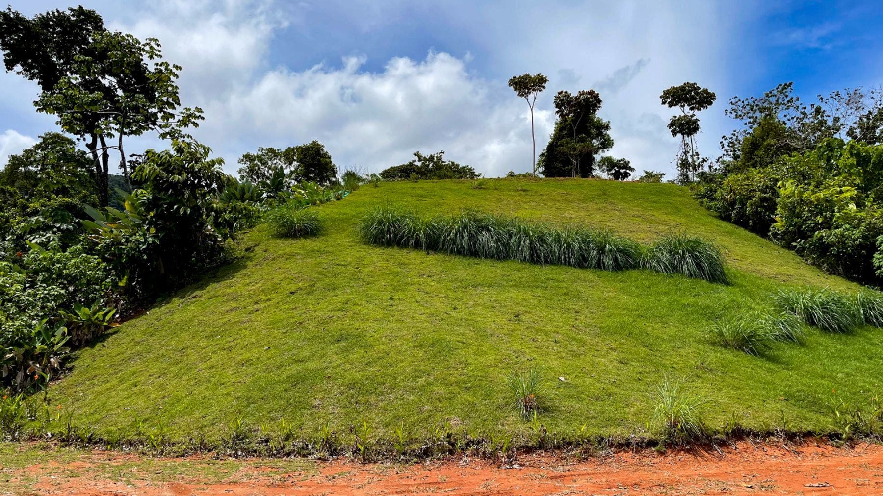 Prominent Ocean view Land in Uvita — photo 13 of 19