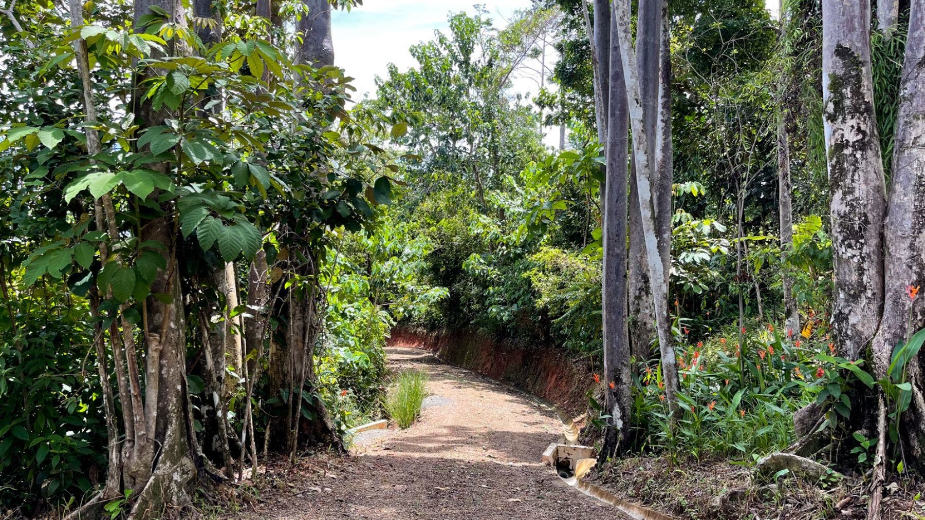 Prominent Ocean view Land in Uvita — photo 17 of 19