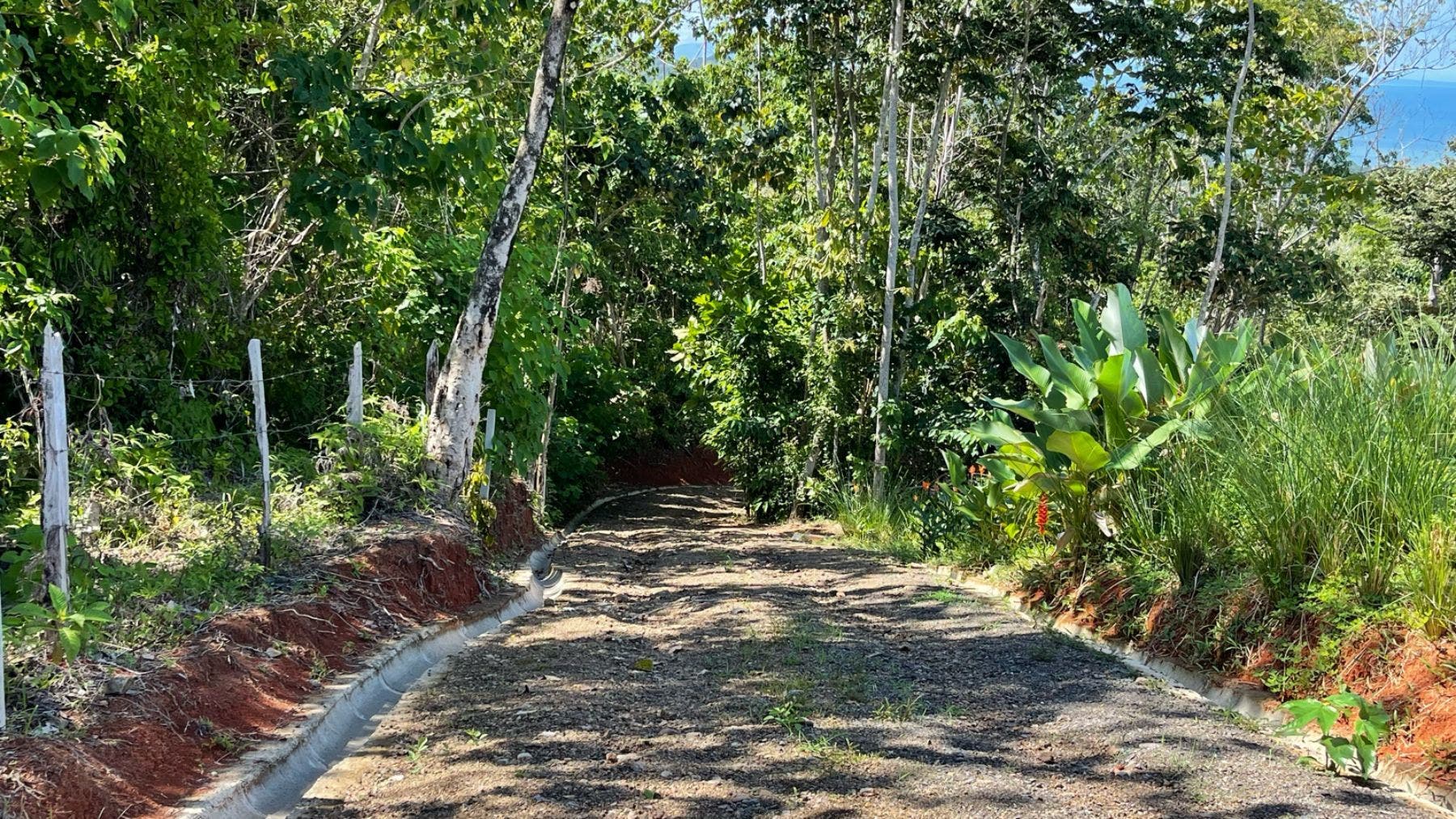 Prominent Ocean view Land in Uvita — photo 18 of 19
