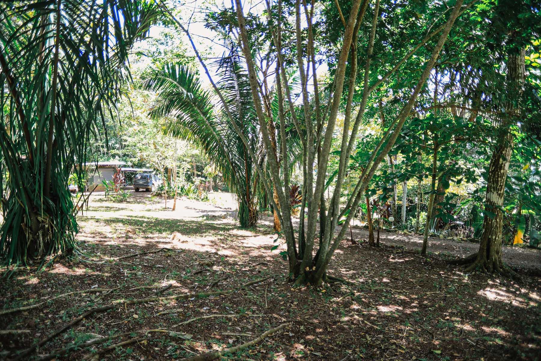 Two Beautiful Homes In Delicias  , Las Delicias, Las Delicias, Santa Teresa, Cobano, Puntarenas, Puntarenas, Costa Rica 601111