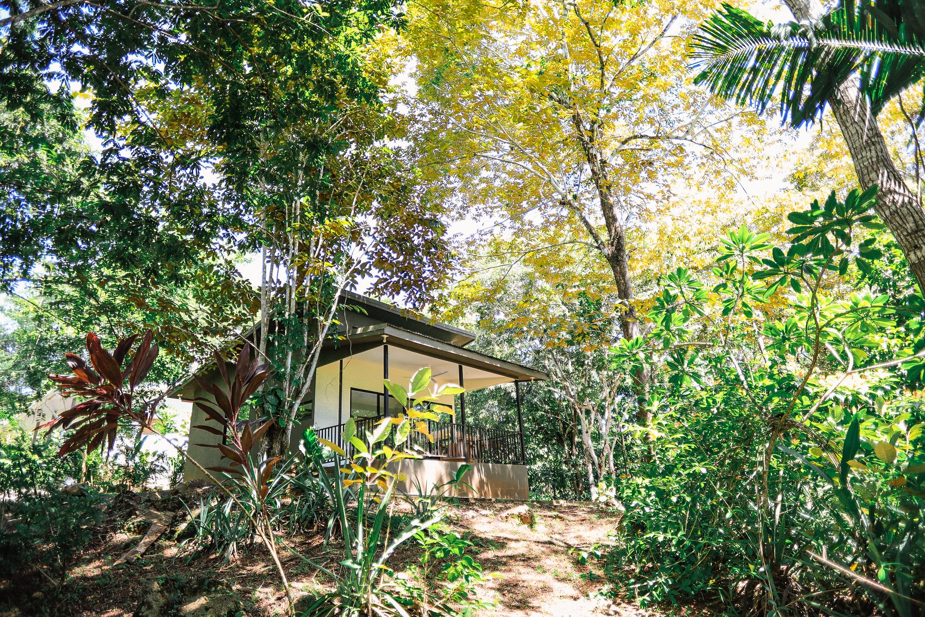 Two Beautiful Homes In Delicias  , Las Delicias, Las Delicias, Santa Teresa, Cobano, Puntarenas, Puntarenas, Costa Rica 601111