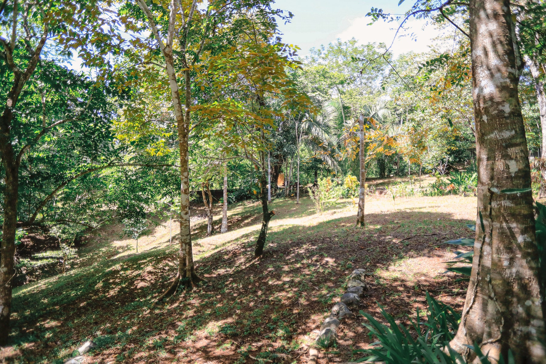 Two Bedroom Home In Delicias , Las Delicias, Las Delicias, Santa Teresa, Cobano, Puntarenas, Puntarenas, Costa Rica 60111 Two Bedroom Home In Delicias , Las Delicias, Las Delicias, Santa Teresa, Cobano, Puntarenas, Puntarenas, Costa Rica 60111