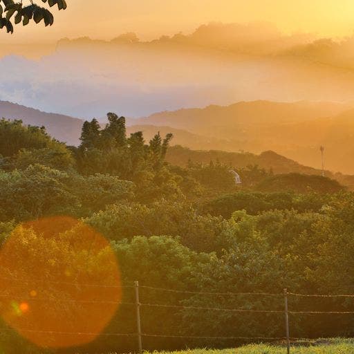 Above The Rest, Ciudad Colon, Mora, San Jose, Costa Rica 10701