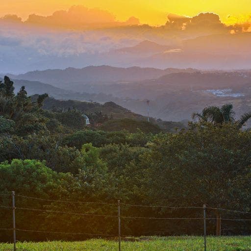 Above The Rest, Ciudad Colon, Mora, San Jose, Costa Rica 10701