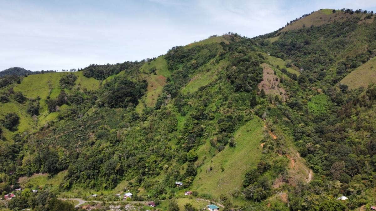 Amazing Mountain View Sites — photo 7 of 16