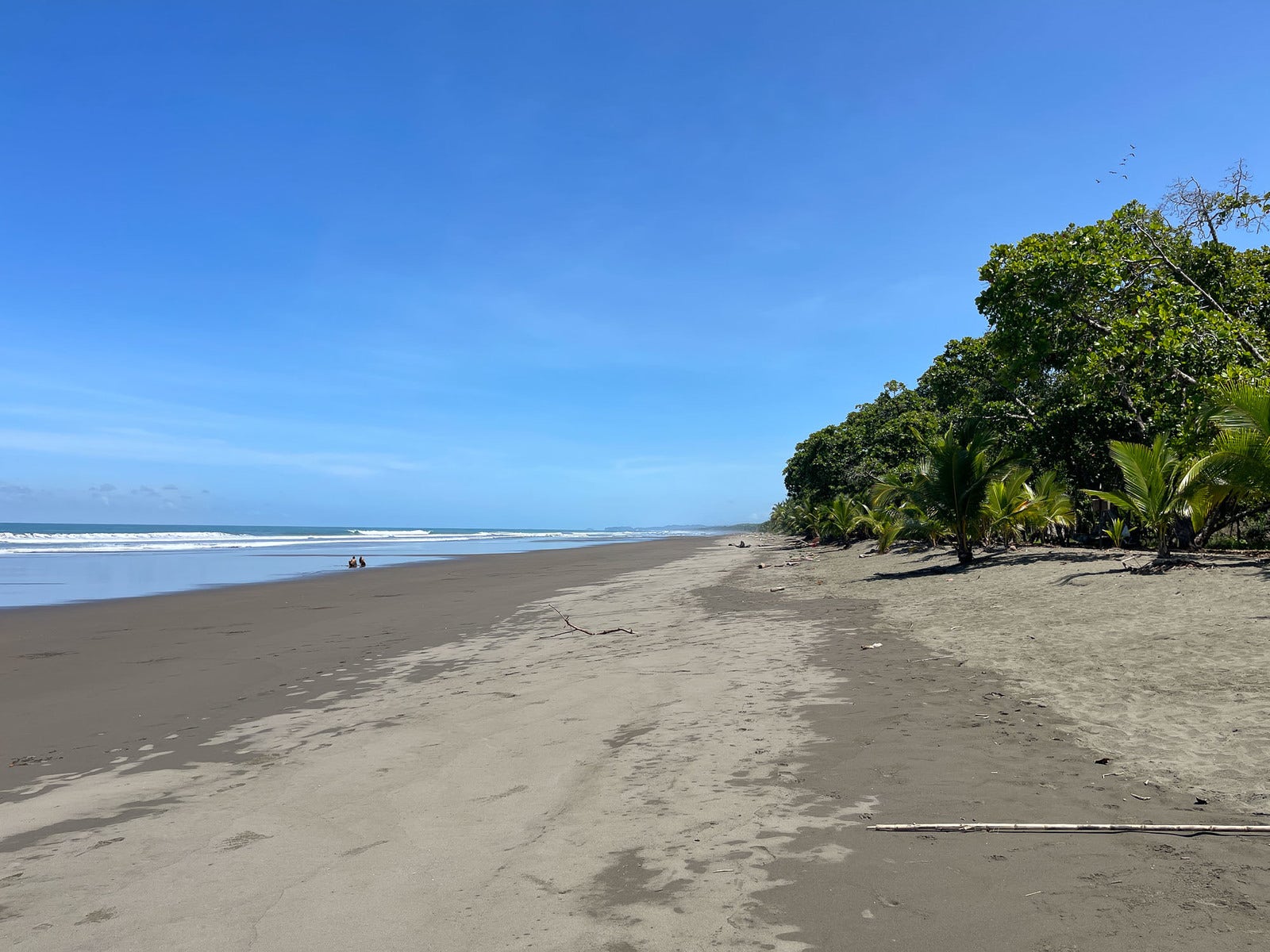 Playa Linda, Matapalo, Manuel Antonio, Puntarenas, Puntarenas, Costa Rica 60601