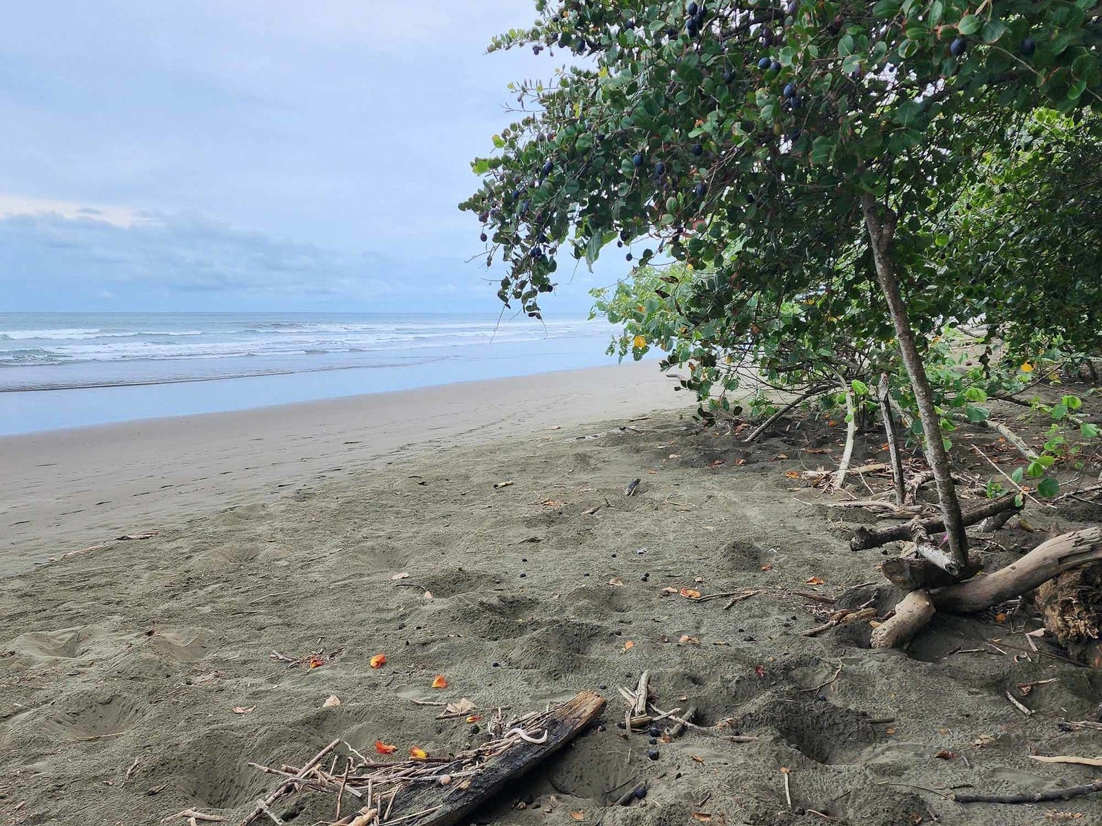 Playa Linda — photo 10 of 10