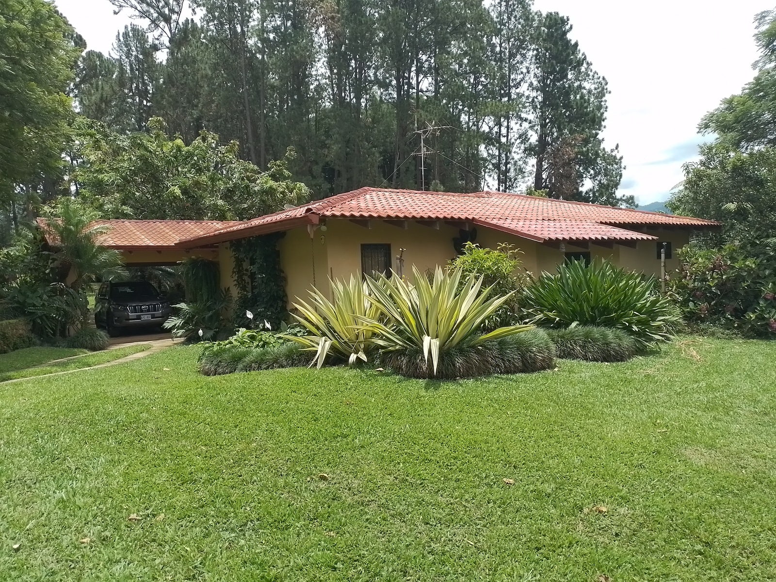 Mountain View Hacienda, Rivas, Perez Zeledon, San Jose, Costa Rica 11904