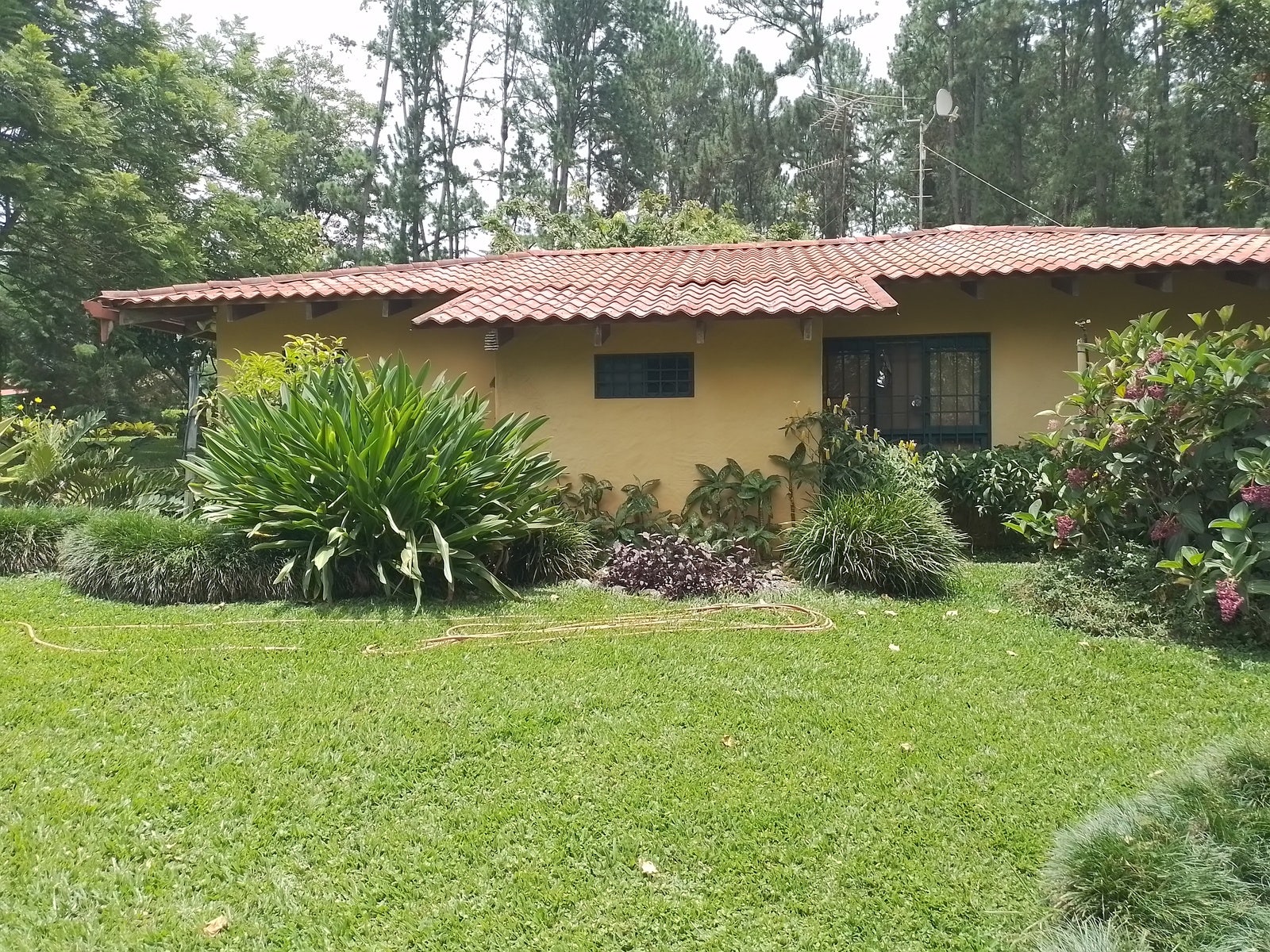 Mountain View Hacienda, Rivas, Perez Zeledon, San Jose, Costa Rica 11904 — photo 2 of 5