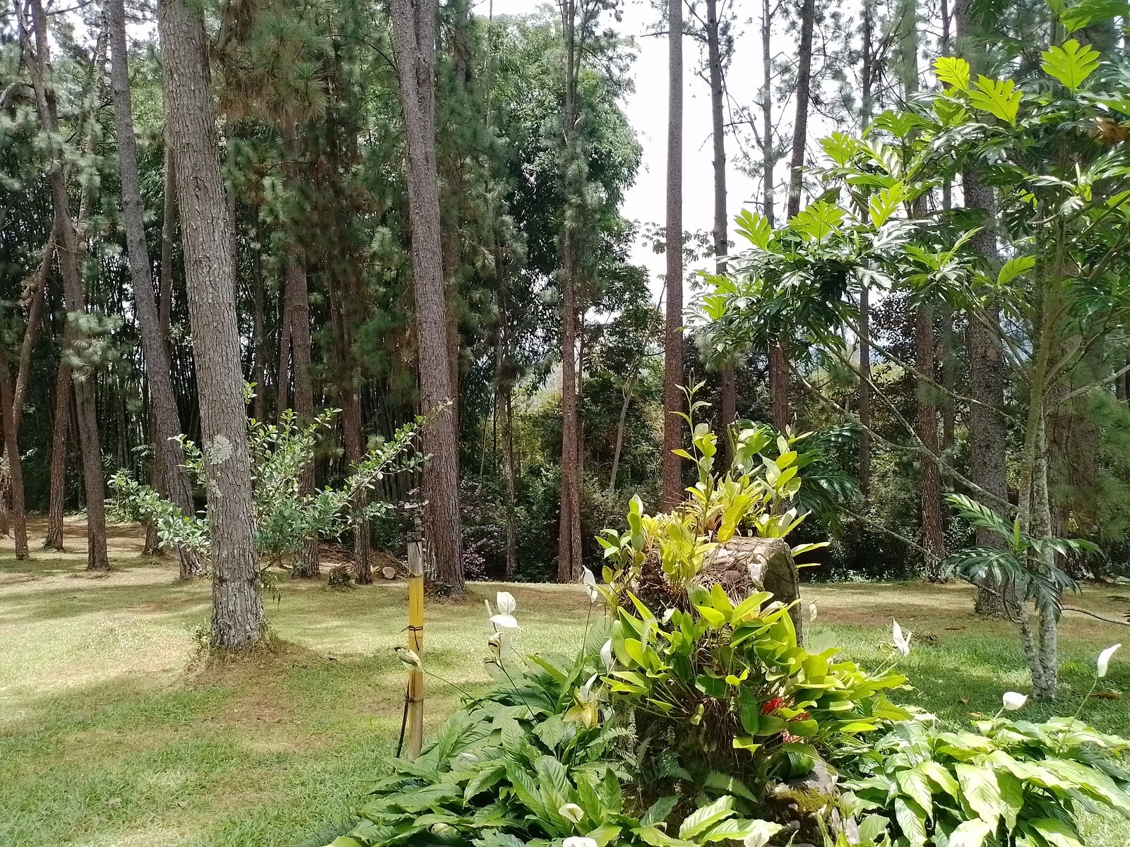 Mountain View Hacienda — photo 15 of 19