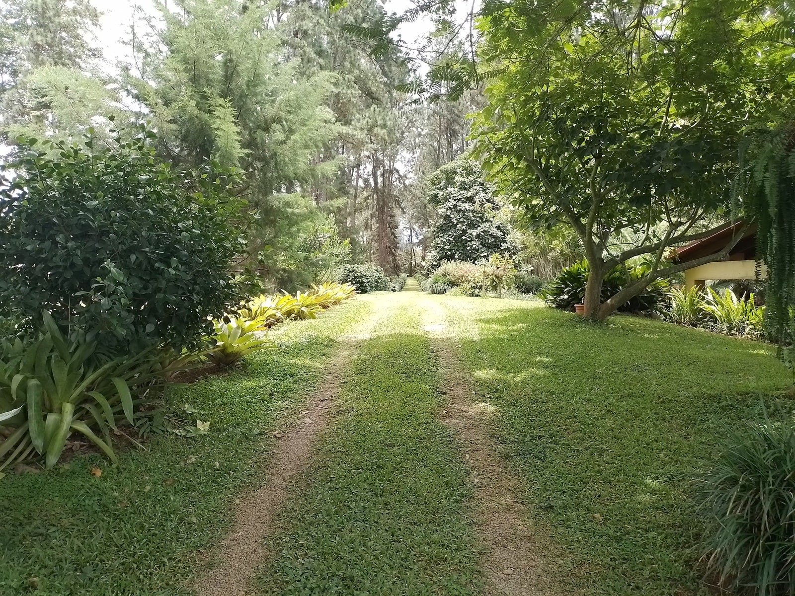 Mountain View Hacienda — photo 19 of 19