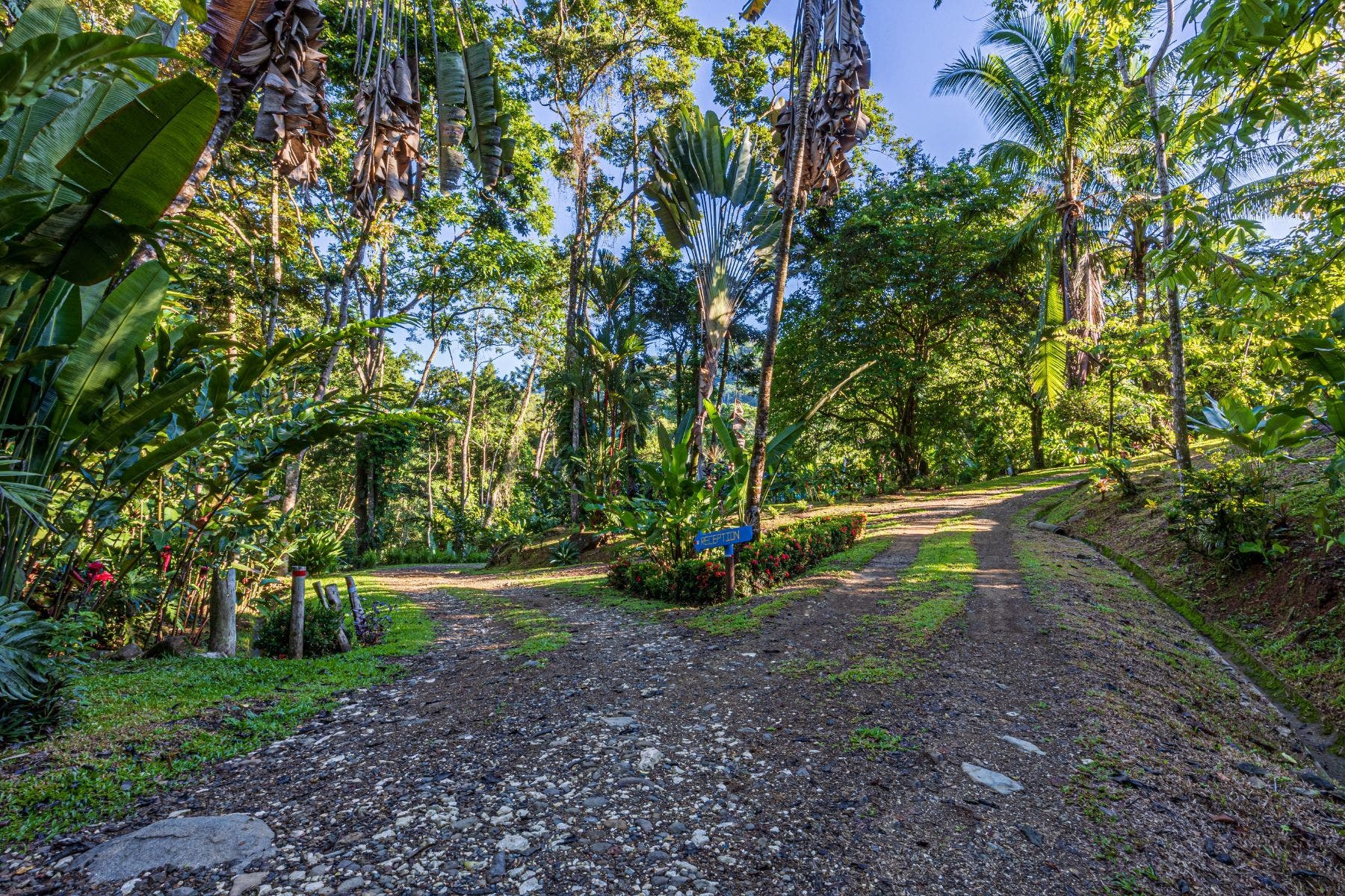 Paradisiacal Hotel and Retreat Center — photo 18 of 19
