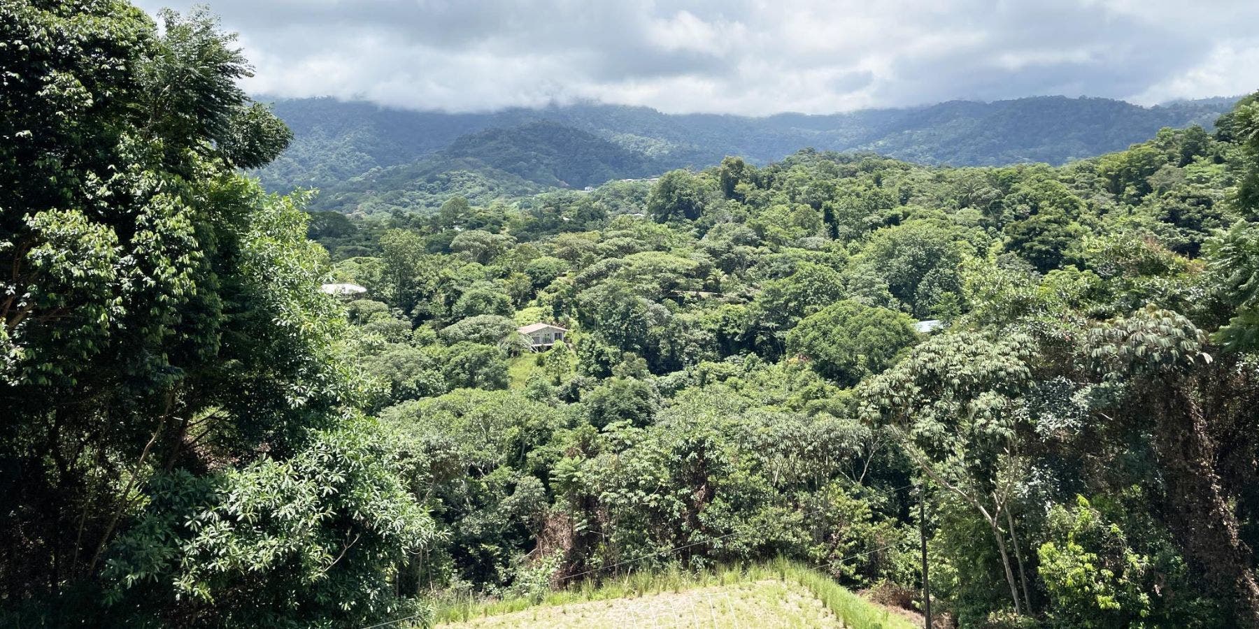 Mountain View Lot with Creek — photo 7 of 13