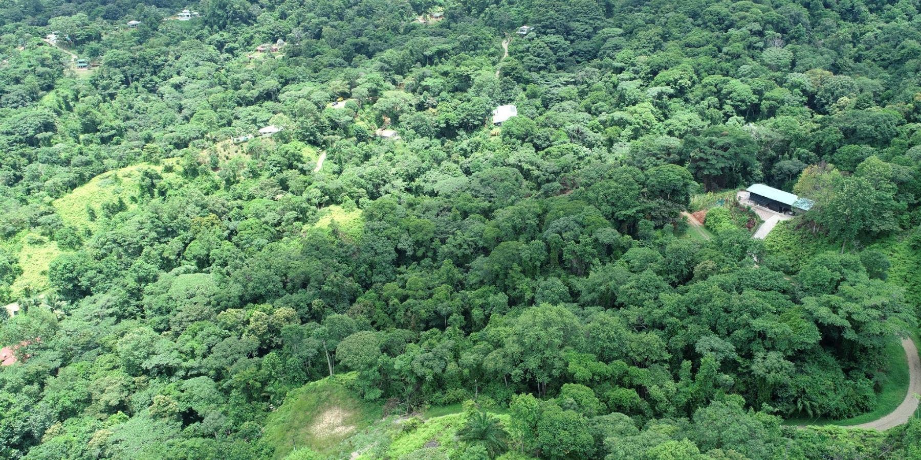 Mountain View Lot with Creek — photo 11 of 13