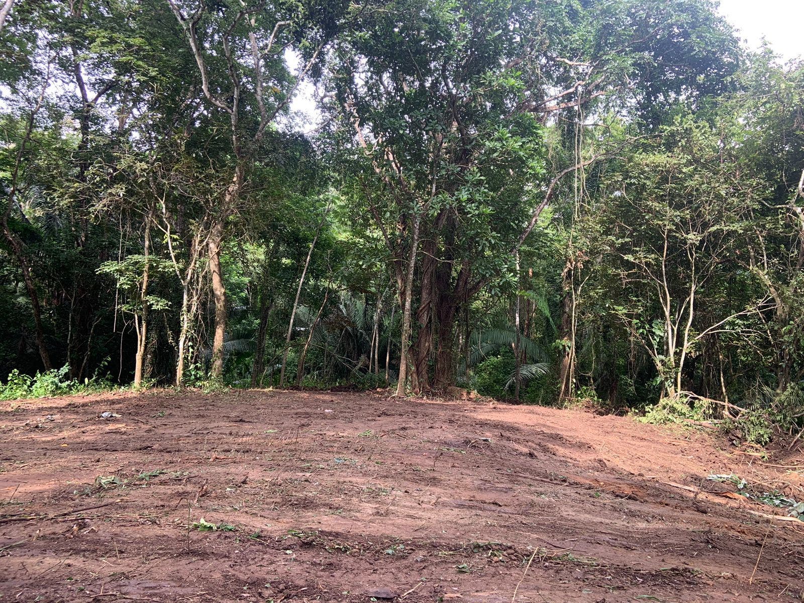 Beautiful Santiago Jungle Lot — foto 4 de 11