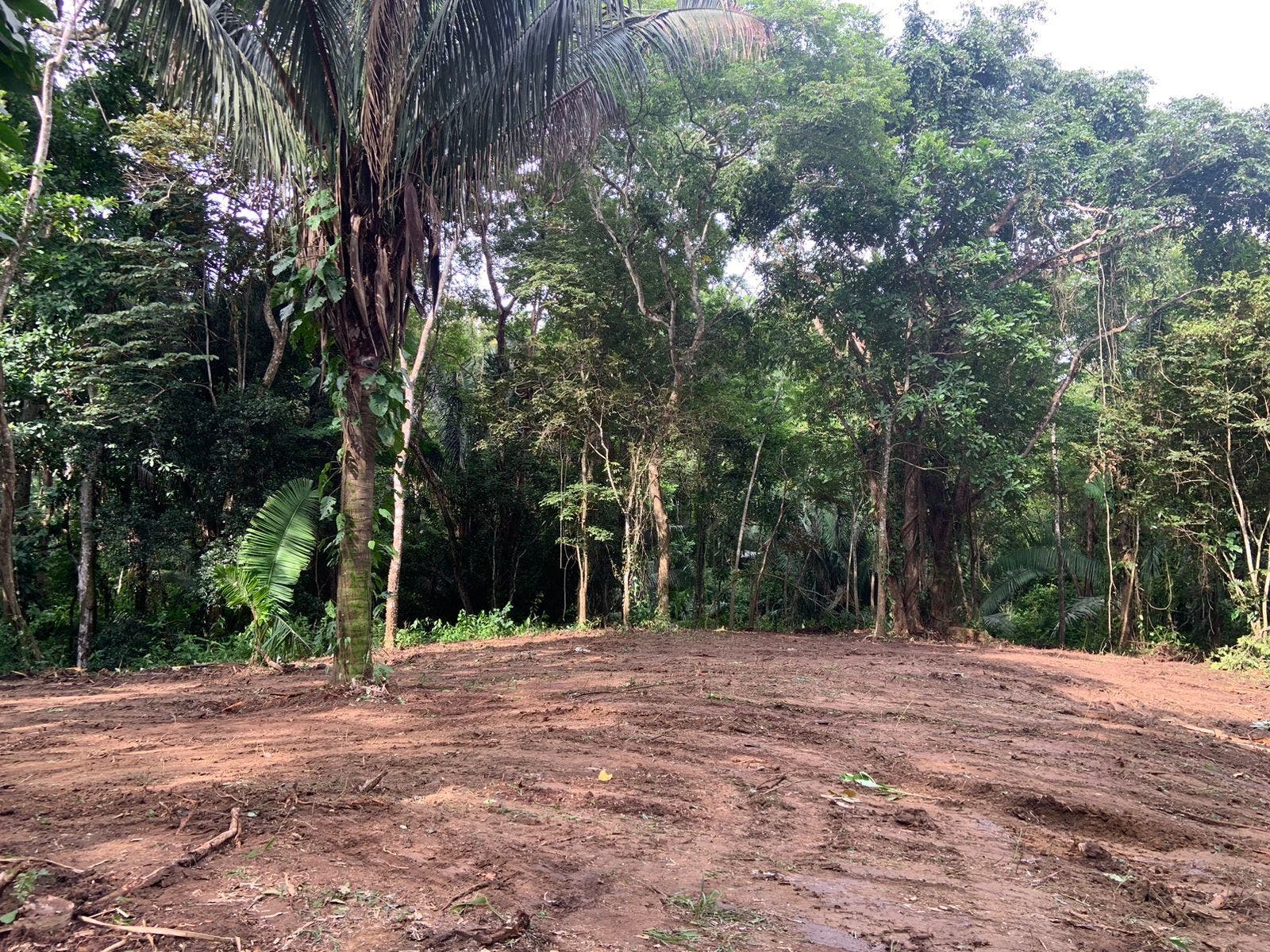 Beautiful Santiago Jungle Lot — foto 6 de 11