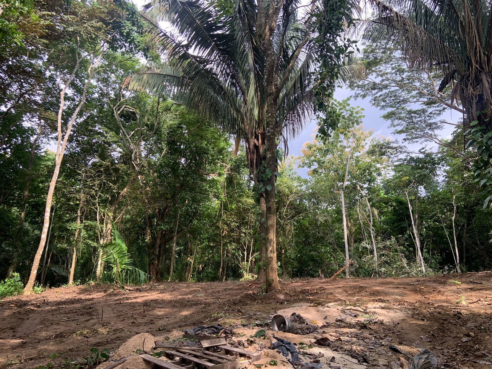 Beautiful Santiago Jungle Lot — foto 2 de 11