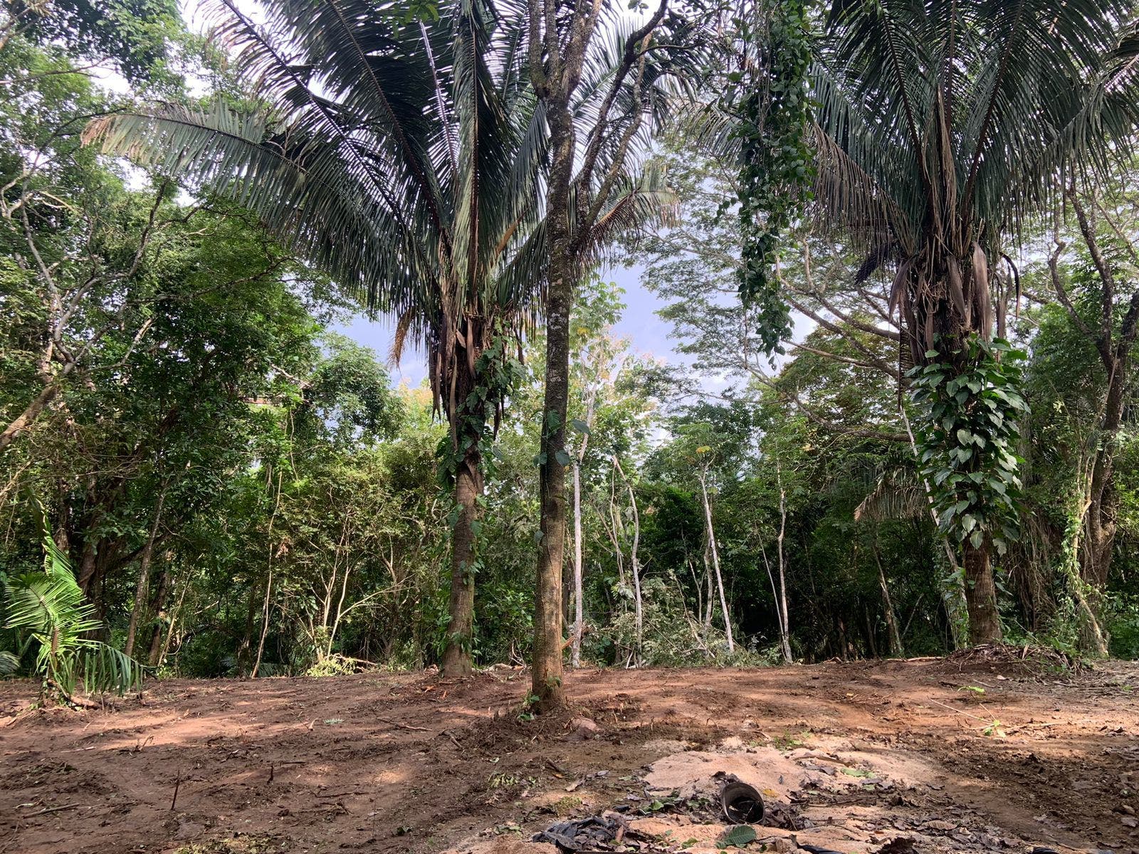 Beautiful Santiago Jungle Lot — foto 11 de 11