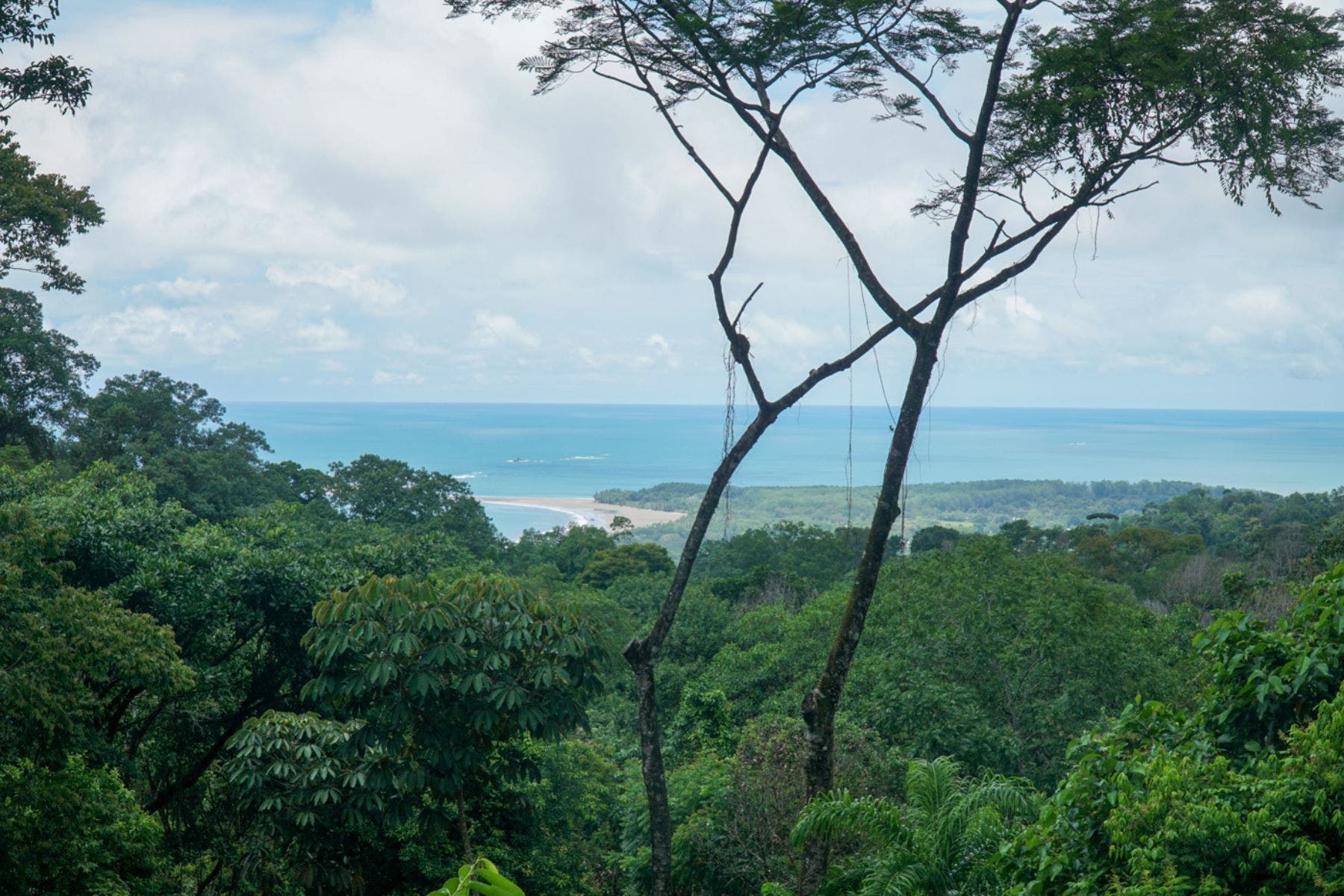 Sustainable Home in the Uvita Hills — photo 3 of 14