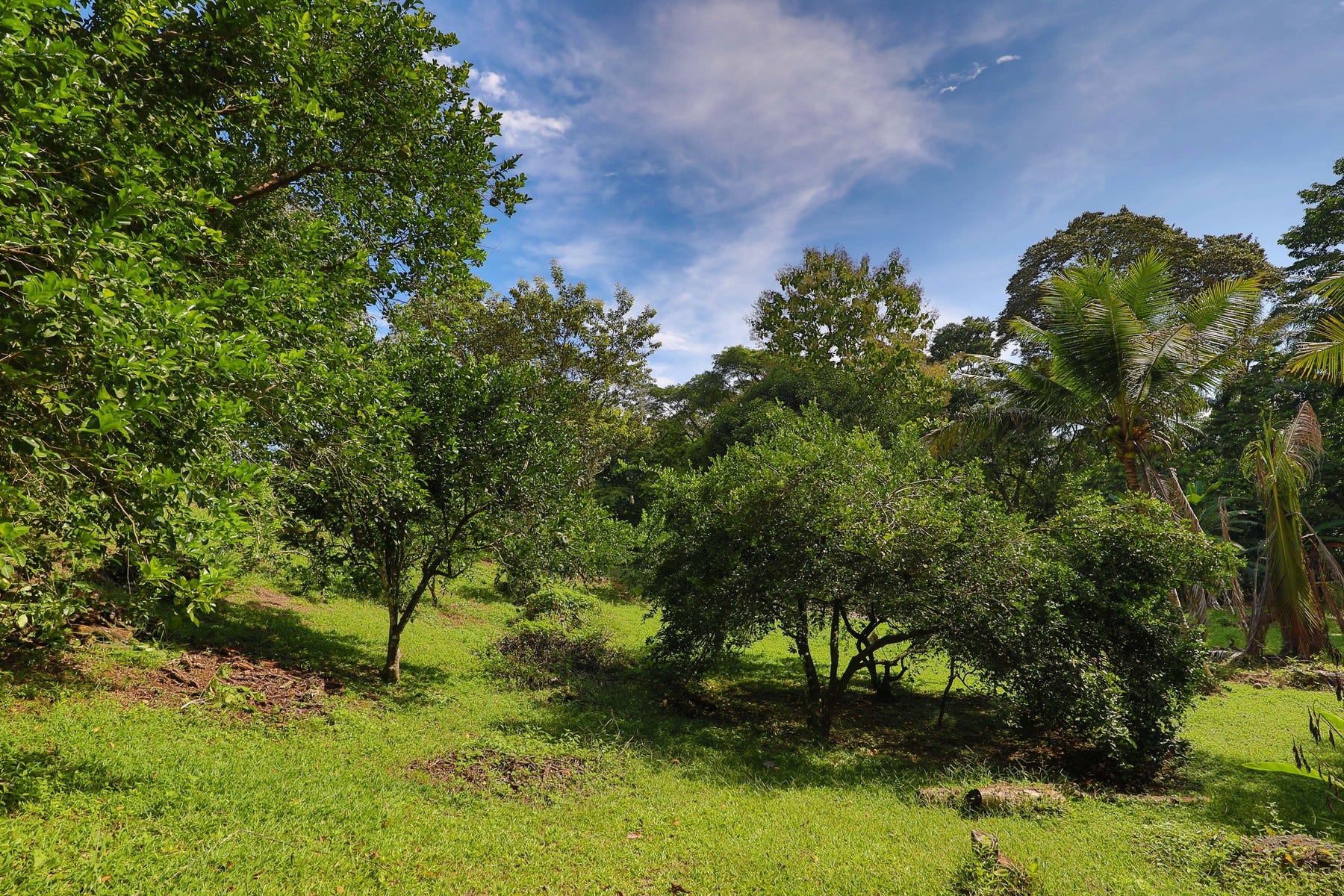 Vista Verde Farm — photo 5 of 19