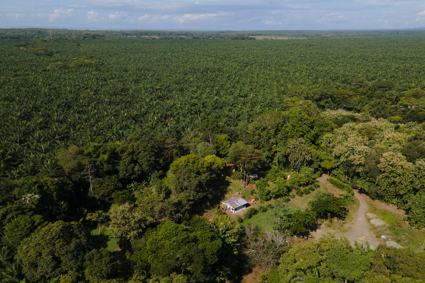 Vista Verde Farm — photo 7 of 19