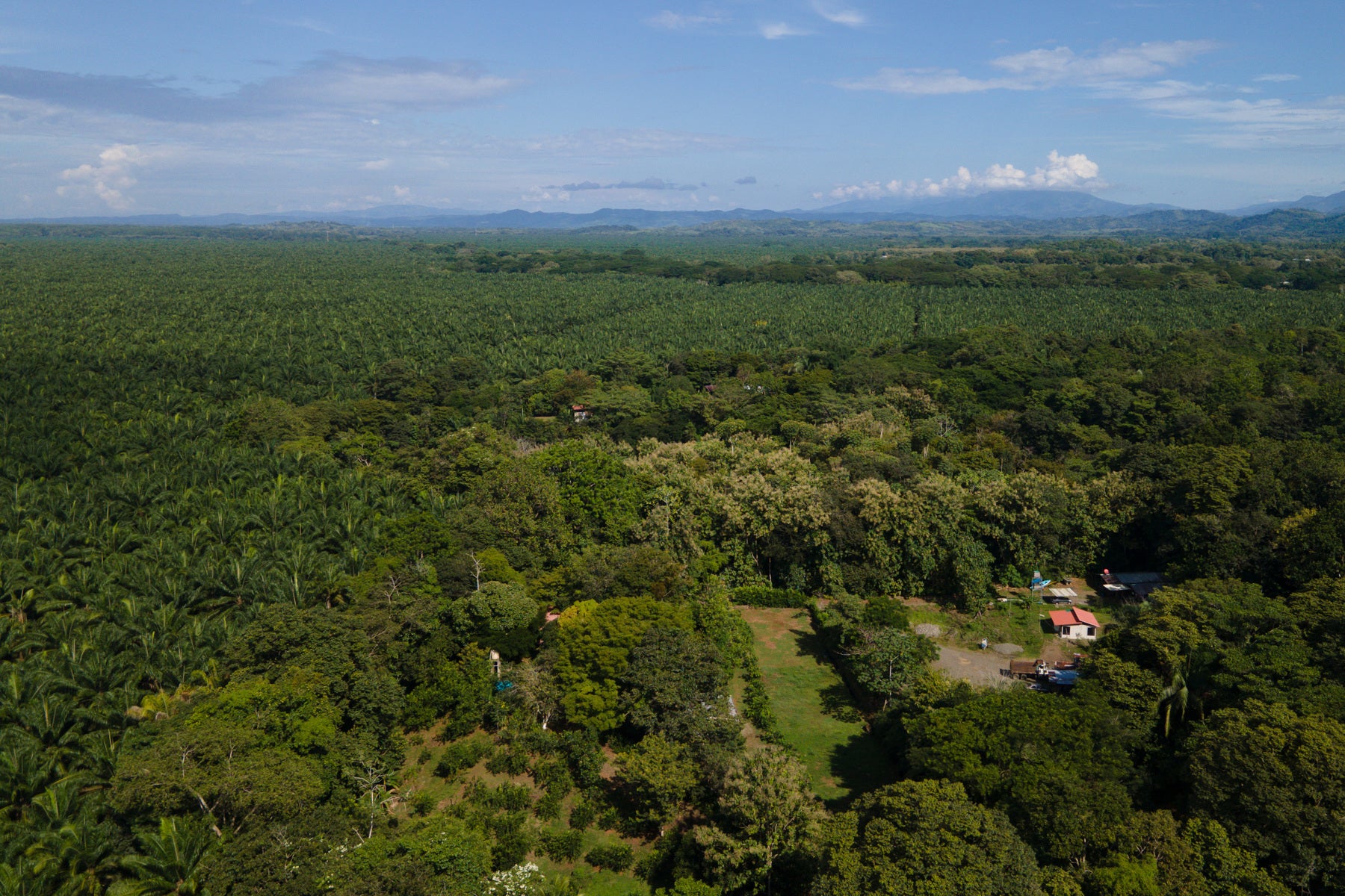 Vista Verde Farm — photo 8 of 19