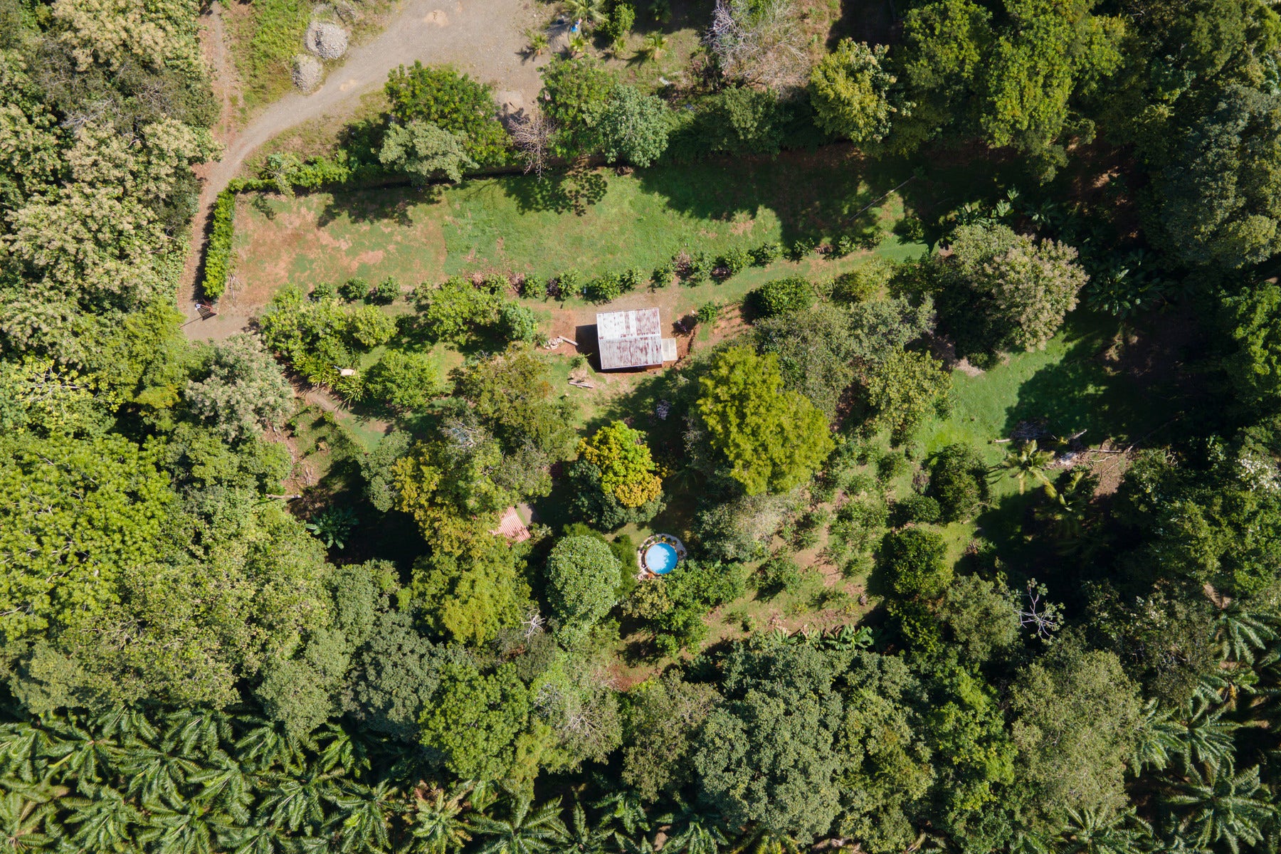 Vista Verde Farm — photo 9 of 19