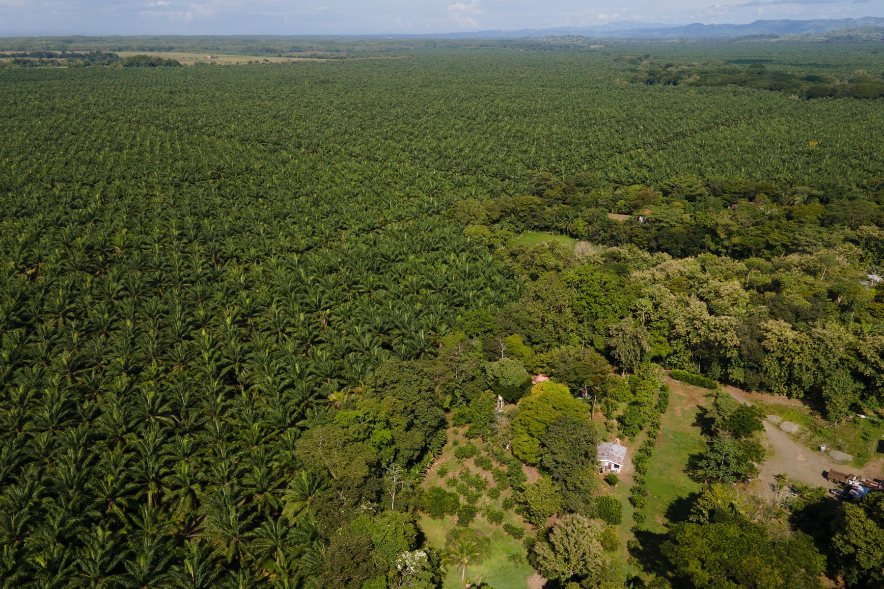 Vista Verde Farm — photo 10 of 19