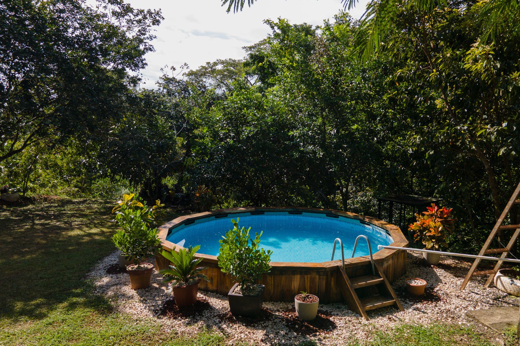 Vista Verde Farm — photo 13 of 19