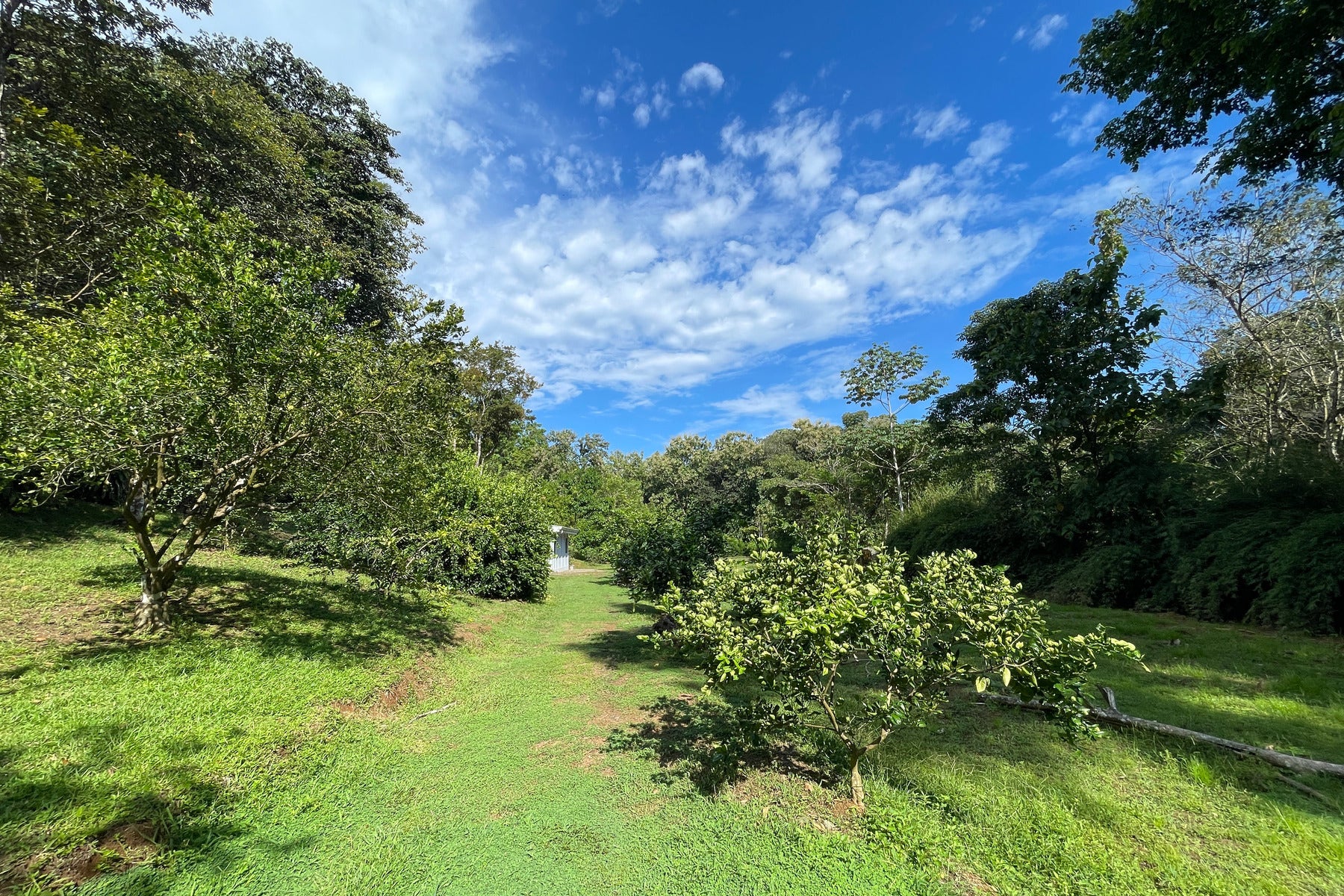 Vista Verde Farm — photo 15 of 19
