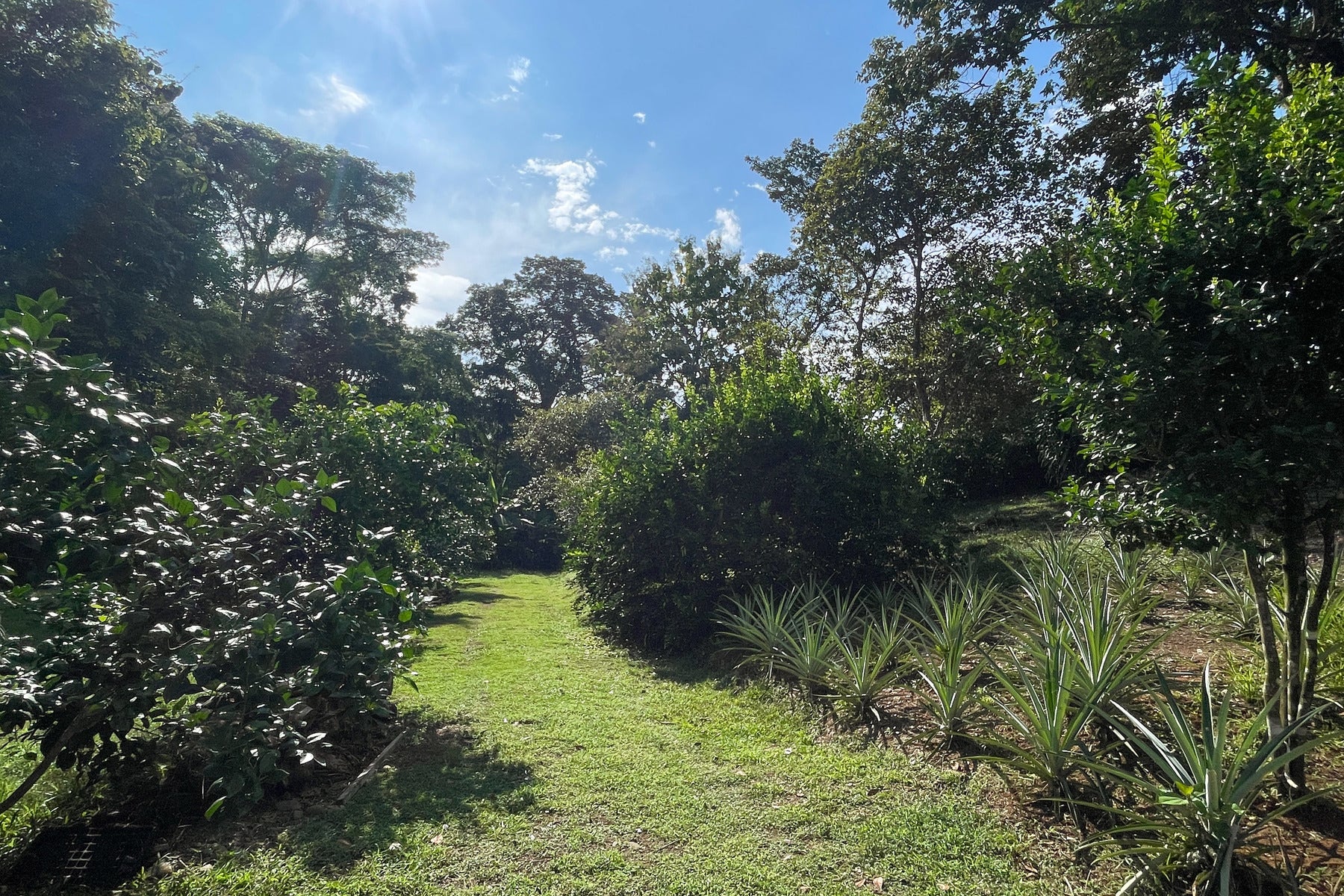 Vista Verde Farm — photo 17 of 19