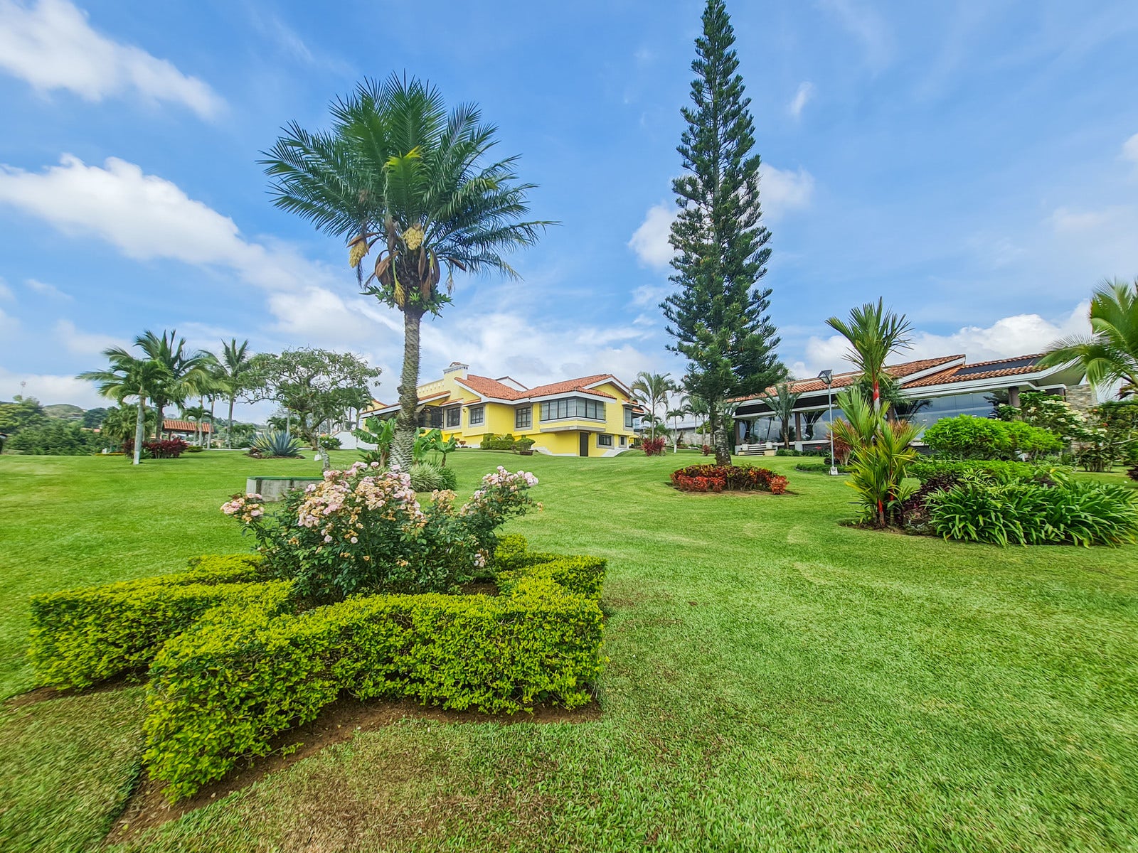 Hacienda Las Flores Estate Home — photo 2 of 19
