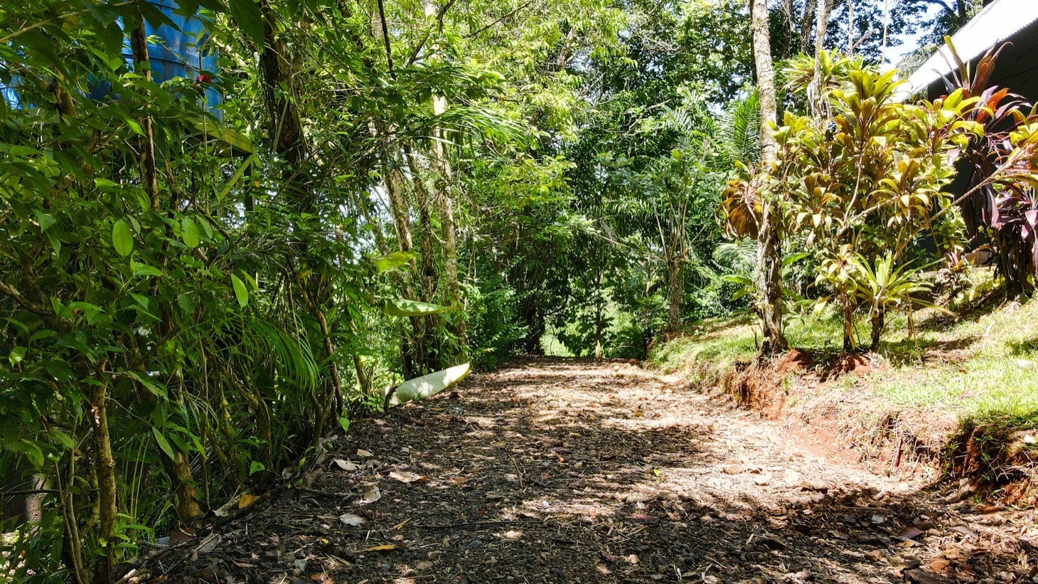 Luxurious Private Rainforest Estate On Creek with Acreage, Ojochal — photo 17 of 19
