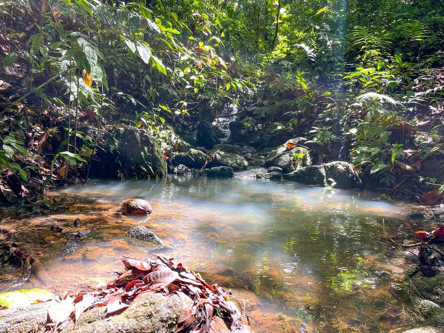 Luxurious Private Rainforest Estate On Creek with Acreage, Ojochal — photo 19 of 19