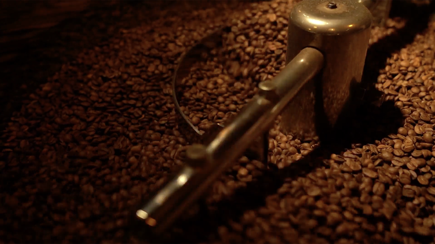 Large Productive Coffee Farm Near Uvita — photo 12 of 17