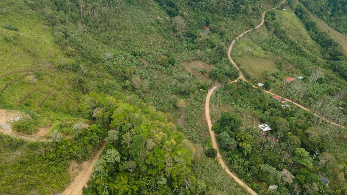 Large Productive Coffee Farm Near Uvita — photo 13 of 17