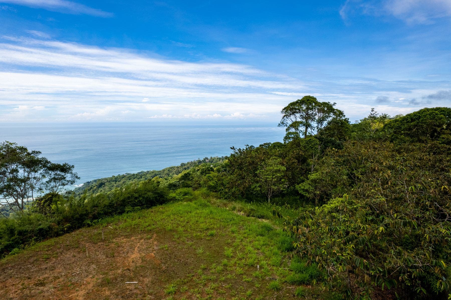 Premium Lot in Costa Verde Estates — photo 2 of 14