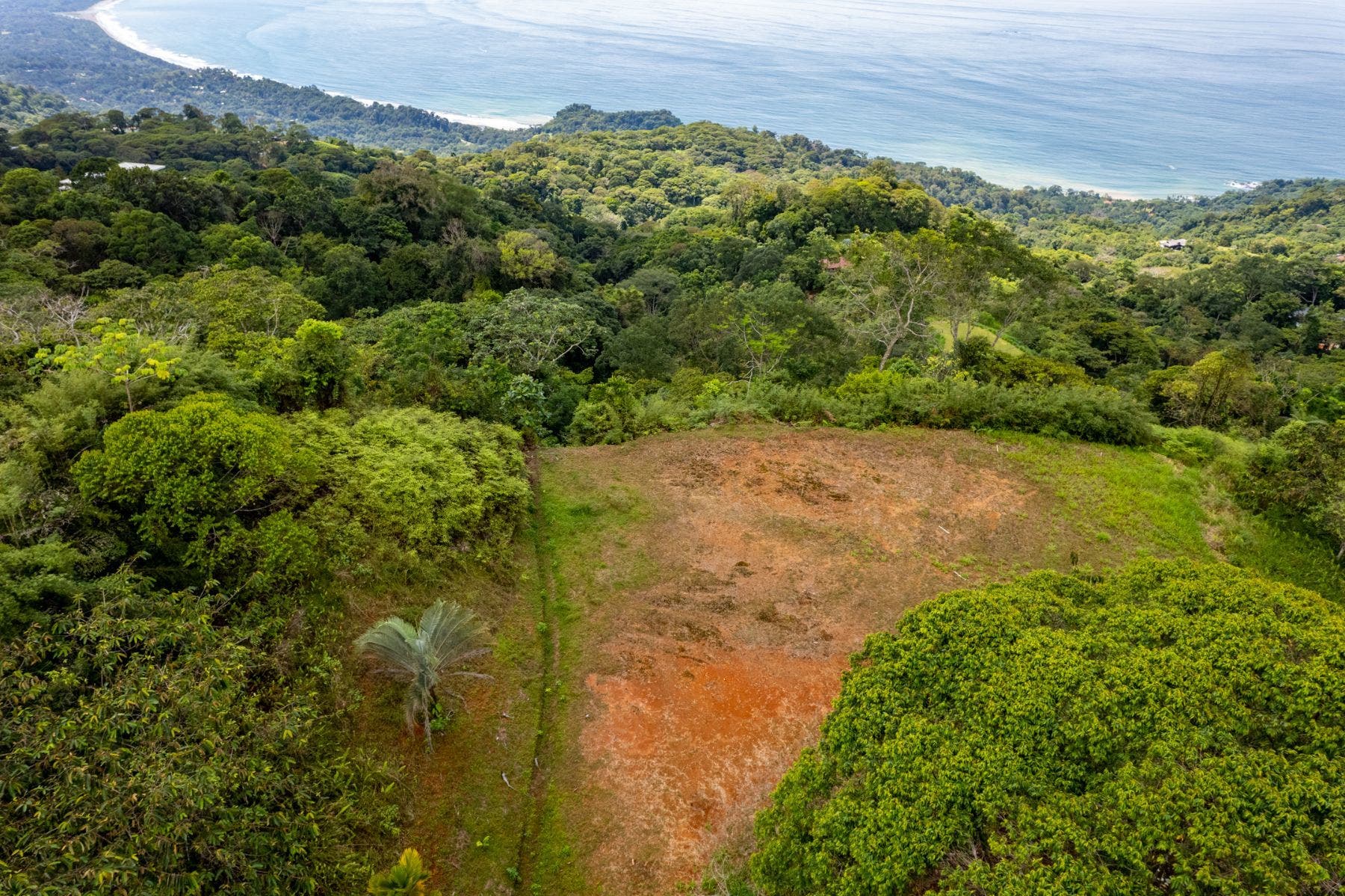 Premium Lot in Costa Verde Estates — photo 3 of 14