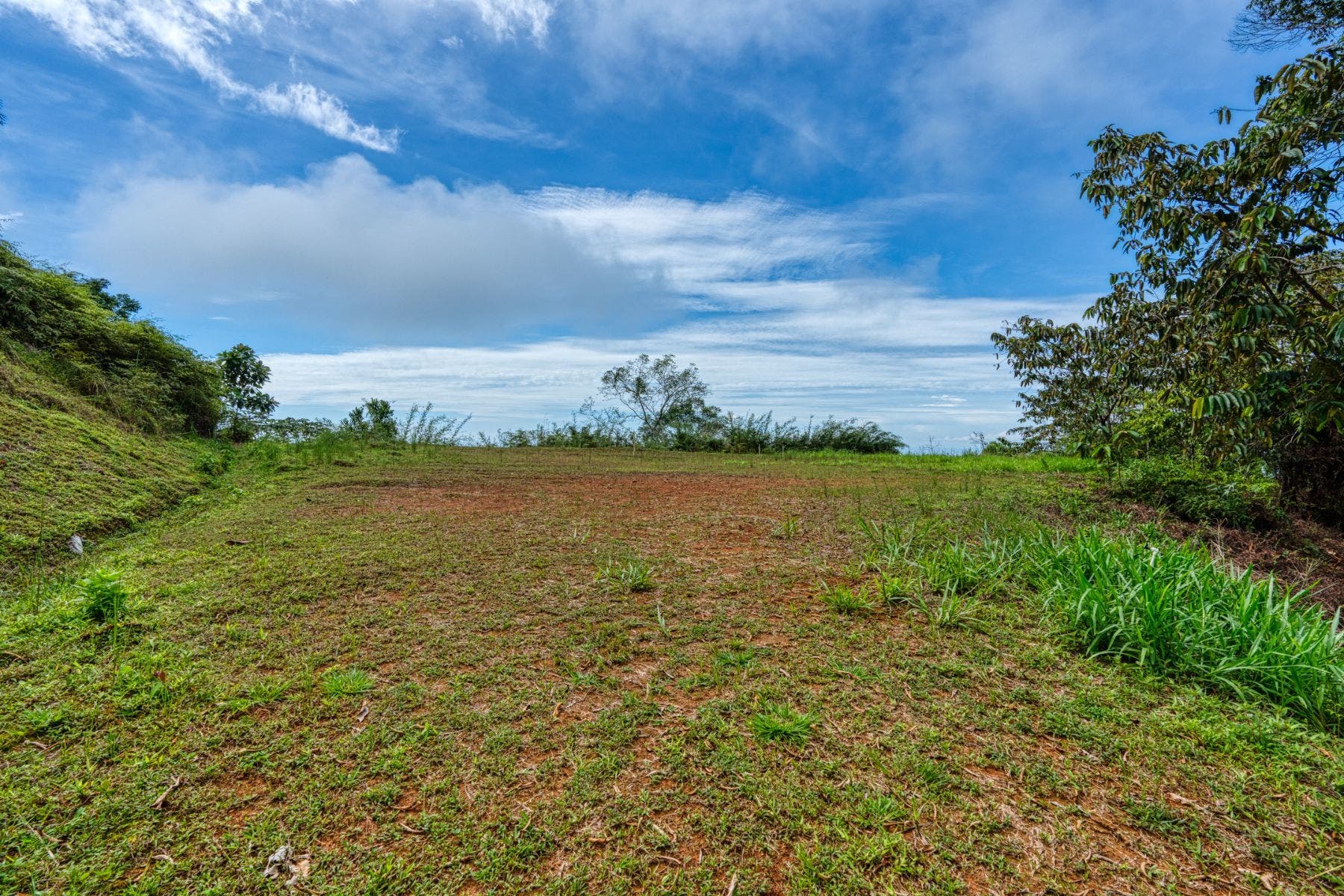Premium Lot in Costa Verde Estates — photo 7 of 14