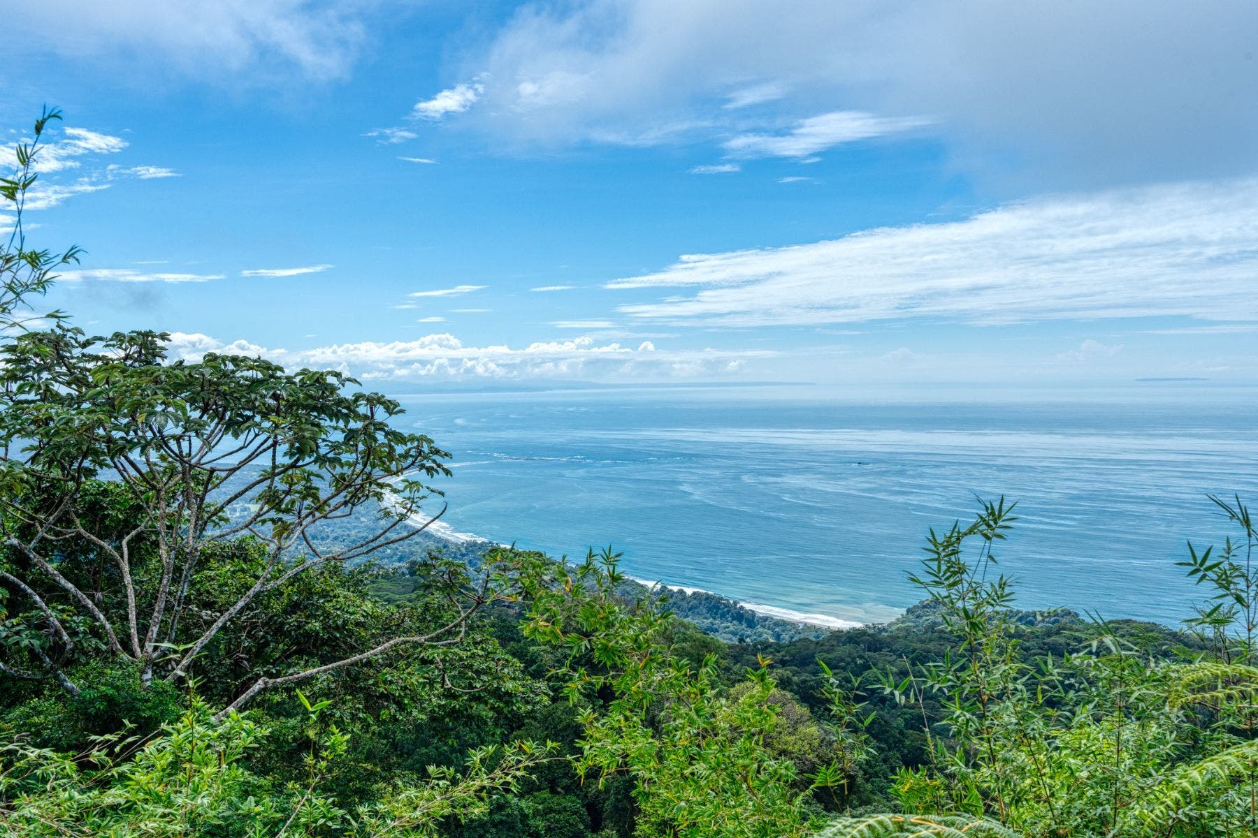 Premium Lot in Costa Verde Estates — photo 8 of 14