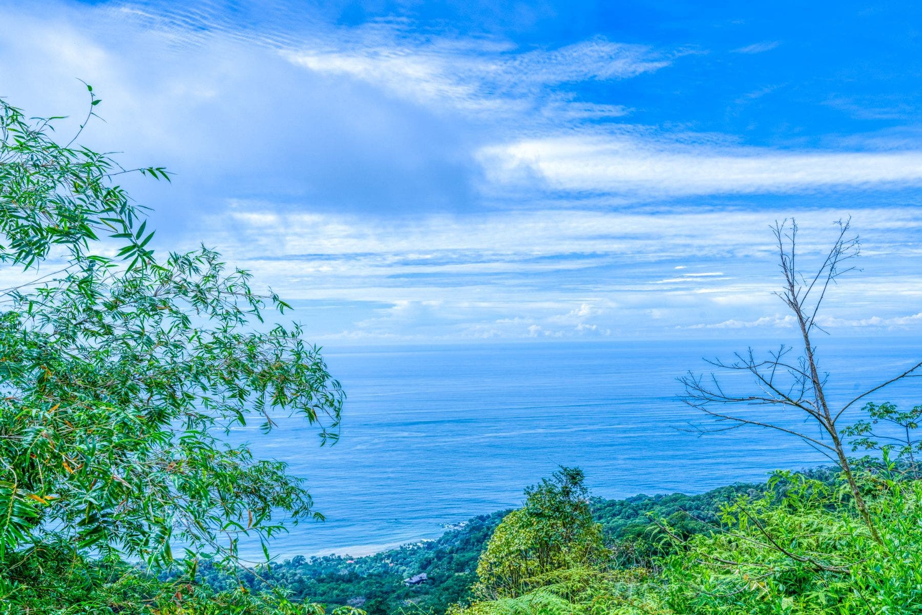Premium Lot in Costa Verde Estates — photo 9 of 14