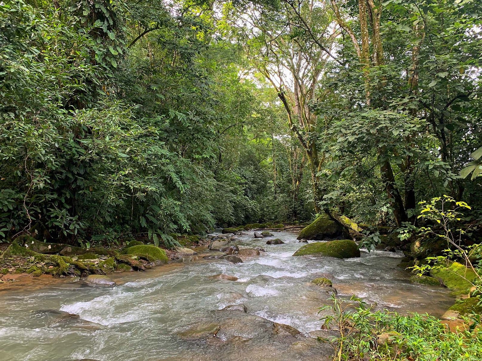 View Farm on River in Chontales — photo 2 of 13
