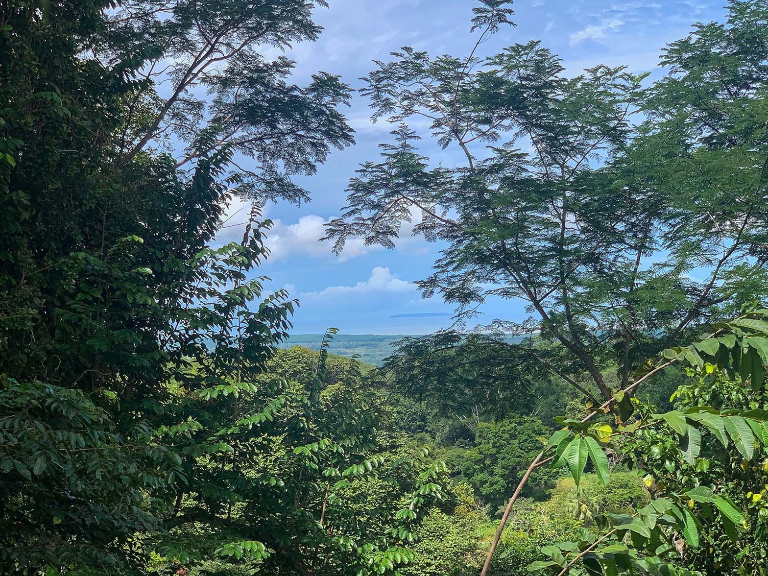 View Farm on River in Chontales — photo 3 of 13