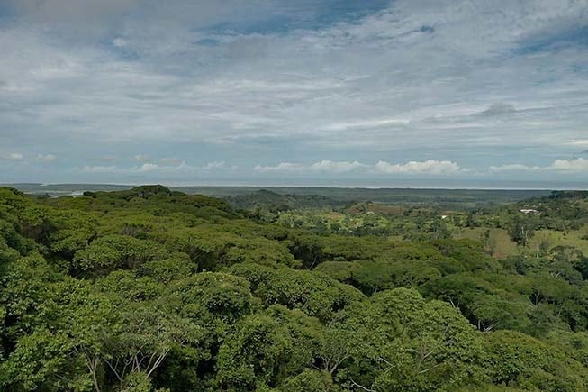 View Farm on River in Chontales — photo 7 of 13