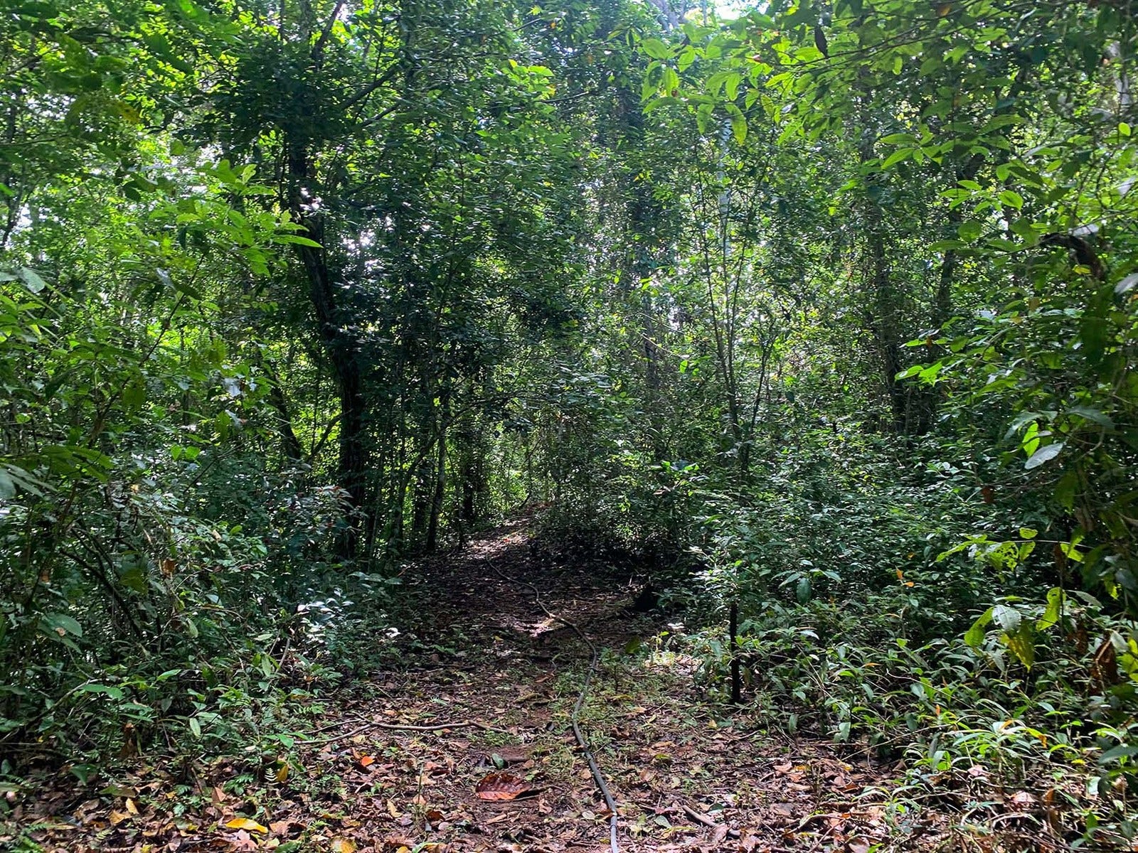 View Farm on River in Chontales — photo 8 of 13