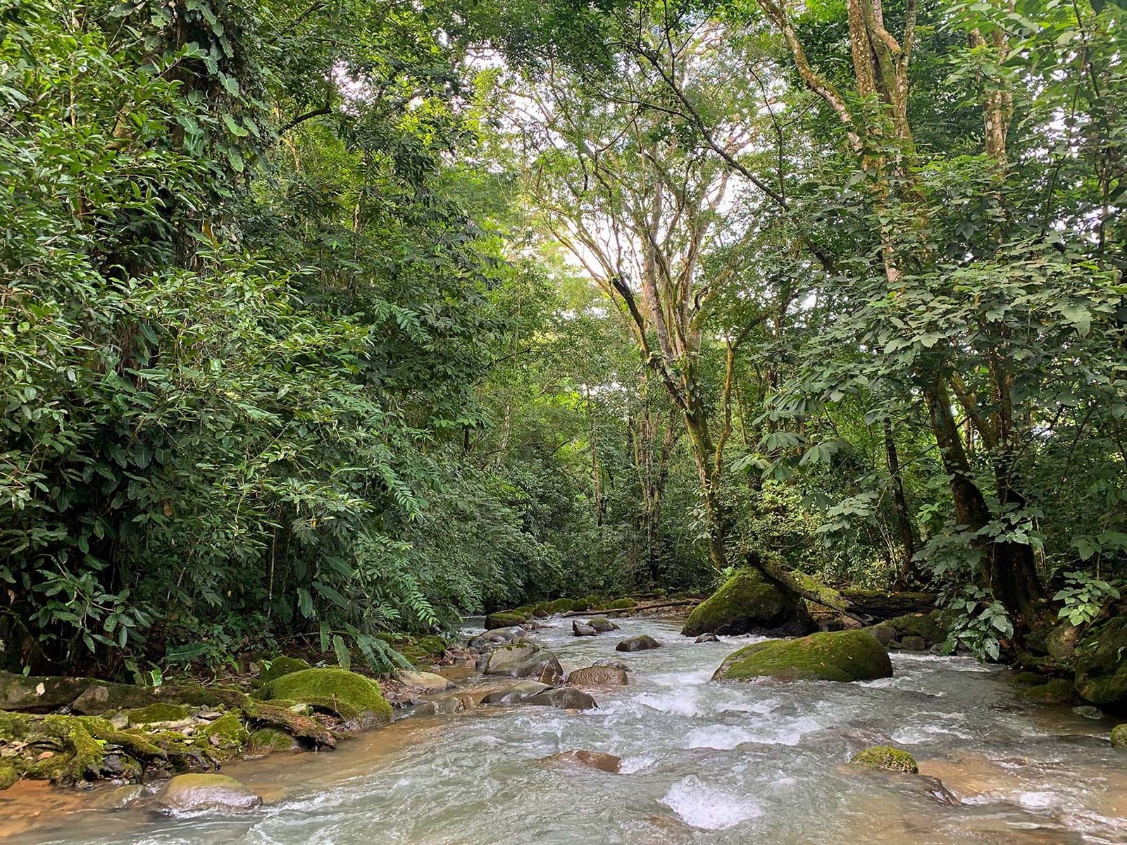 View Farm on River in Chontales — photo 12 of 13